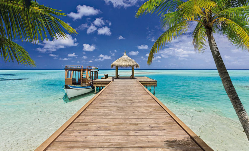 Pathway to a better life save lives rural Pathway to a better life save lives rural